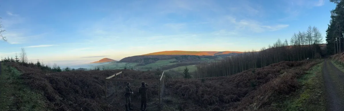 Wildlife managers working together in the countryside
